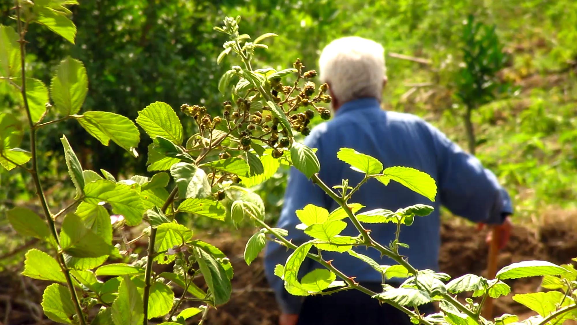 1_7_.jpg (2000×1125)