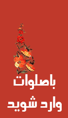 سایز : 140 در 240