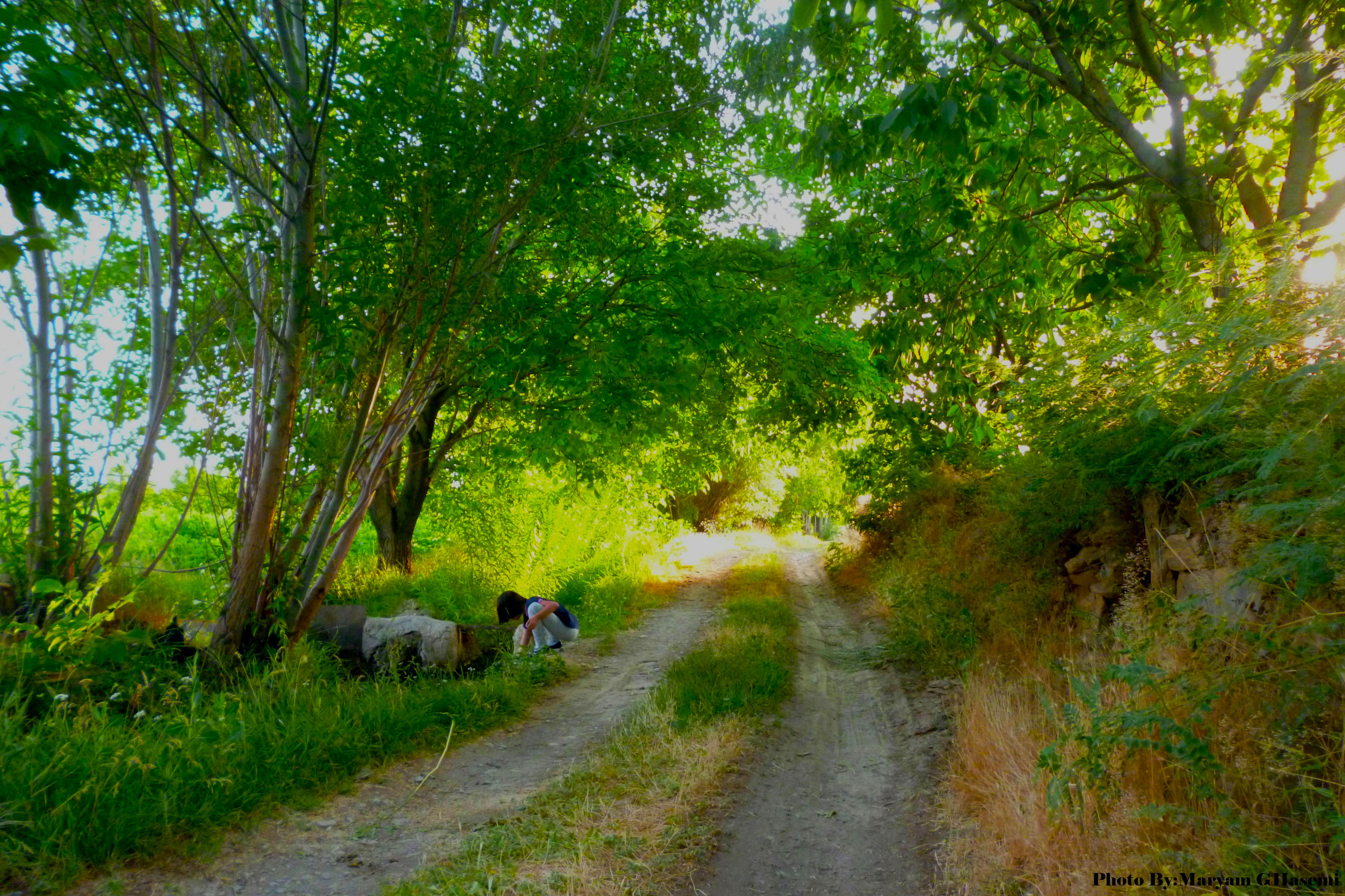 بهشت کوچک ازناوله