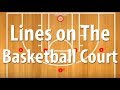 Areas Of The Basketball Court | What Are These Lines! For Beginners