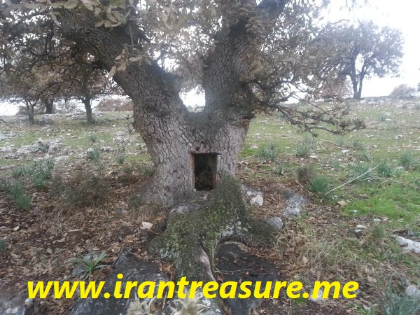 http://s9.picofile.com/file/8303456542/agac.jpg