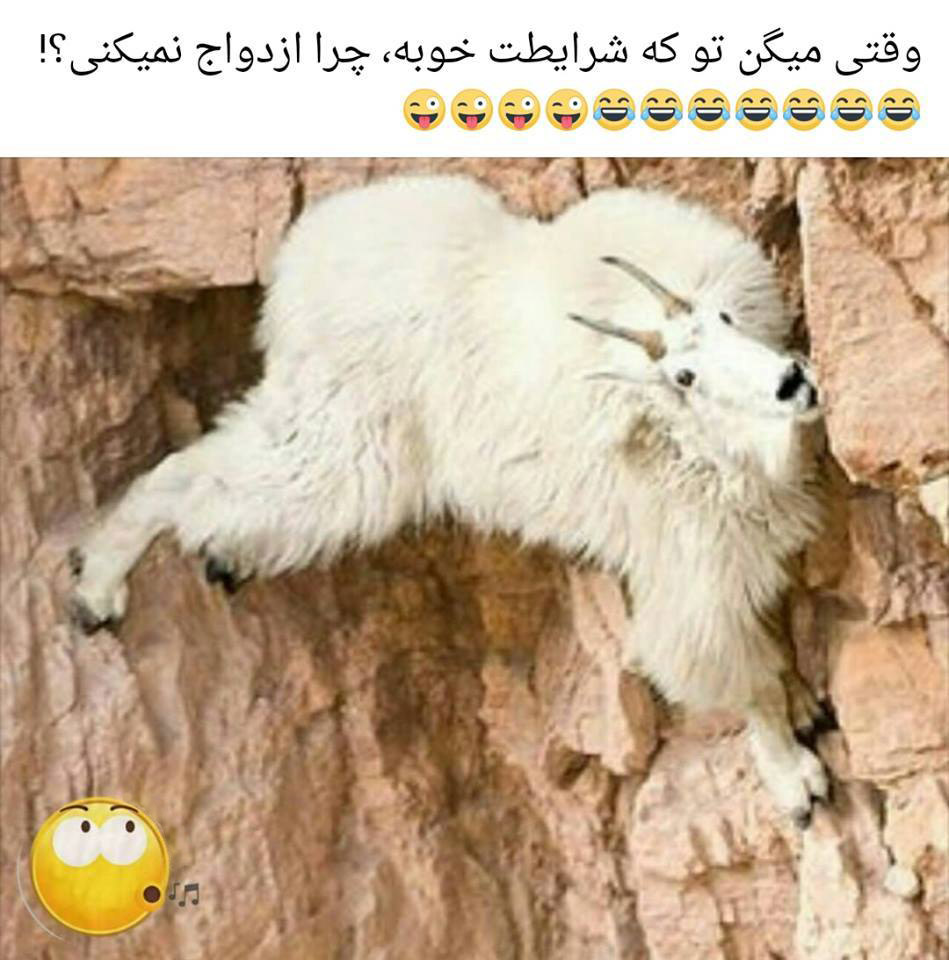 عکس نوشته های خنده دار طنز ازدواج عکس نوشته خنده دار