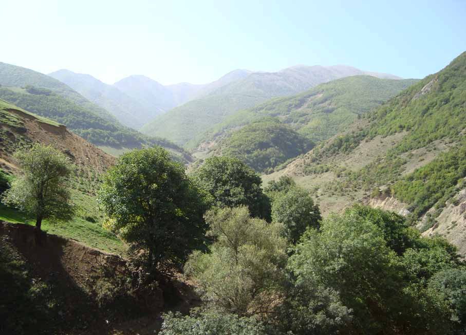 ورزقان