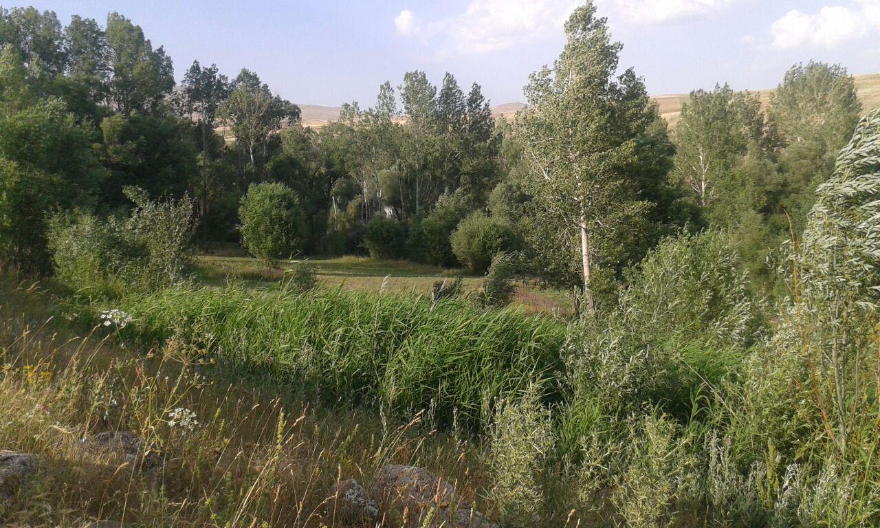 روستای اویلق