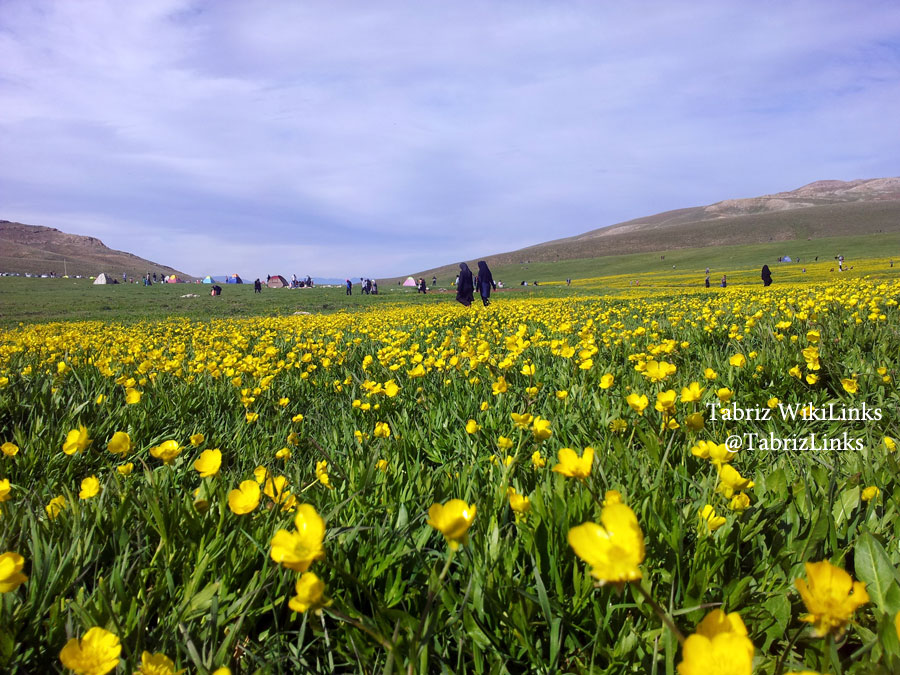 کوه کمر زنوز