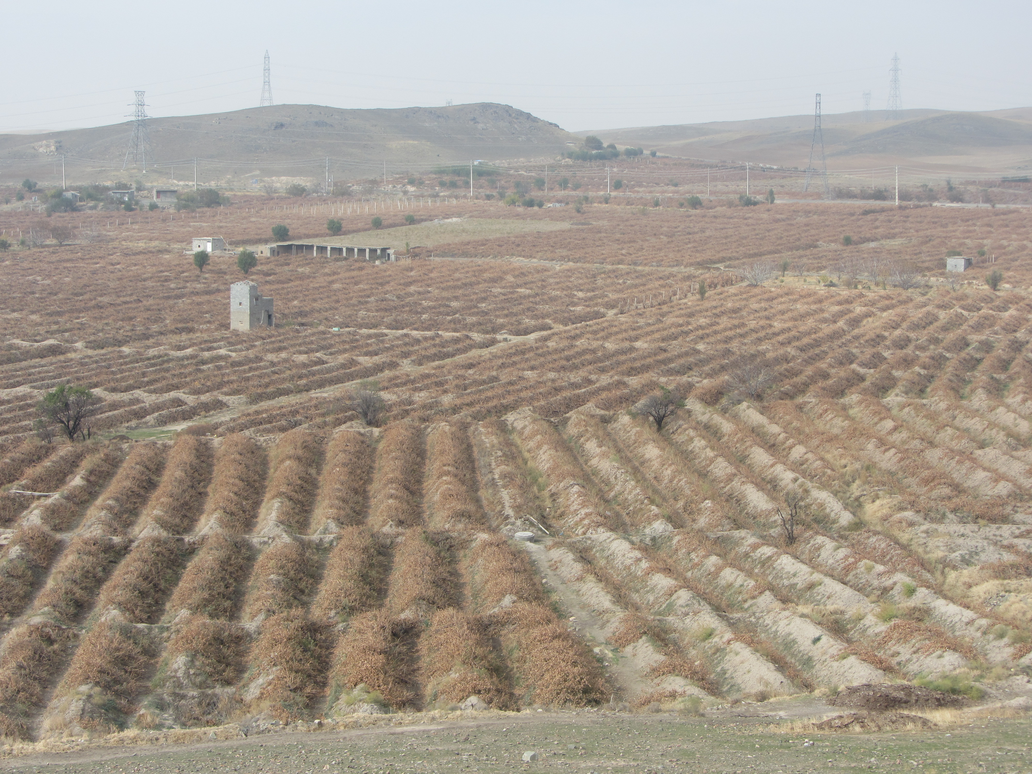 http://s9.picofile.com/file/8305372434/b8608e7743ed2.jpg