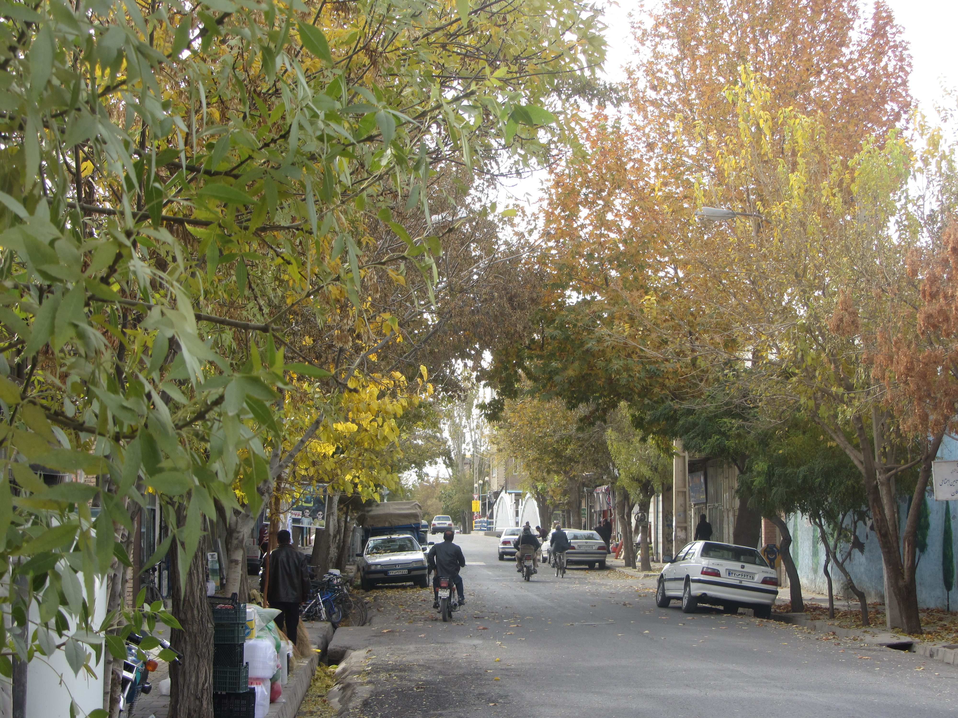 http://s9.picofile.com/file/8305372992/804bbbf93dca1.jpg