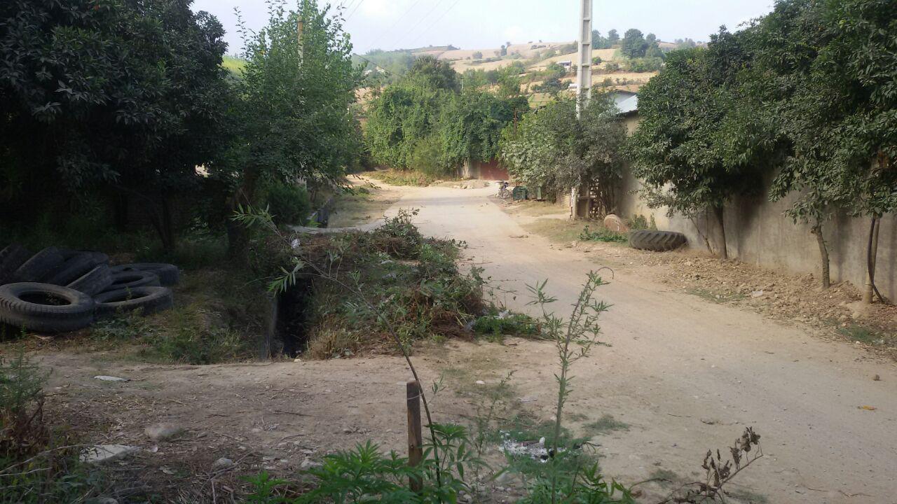 1_20_.jpg (1280×720)