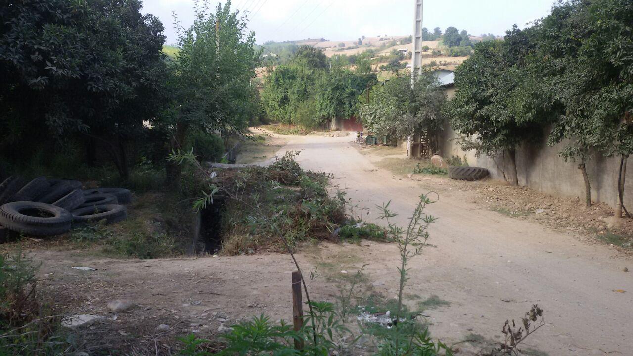 1_21_.jpg (1280×720)