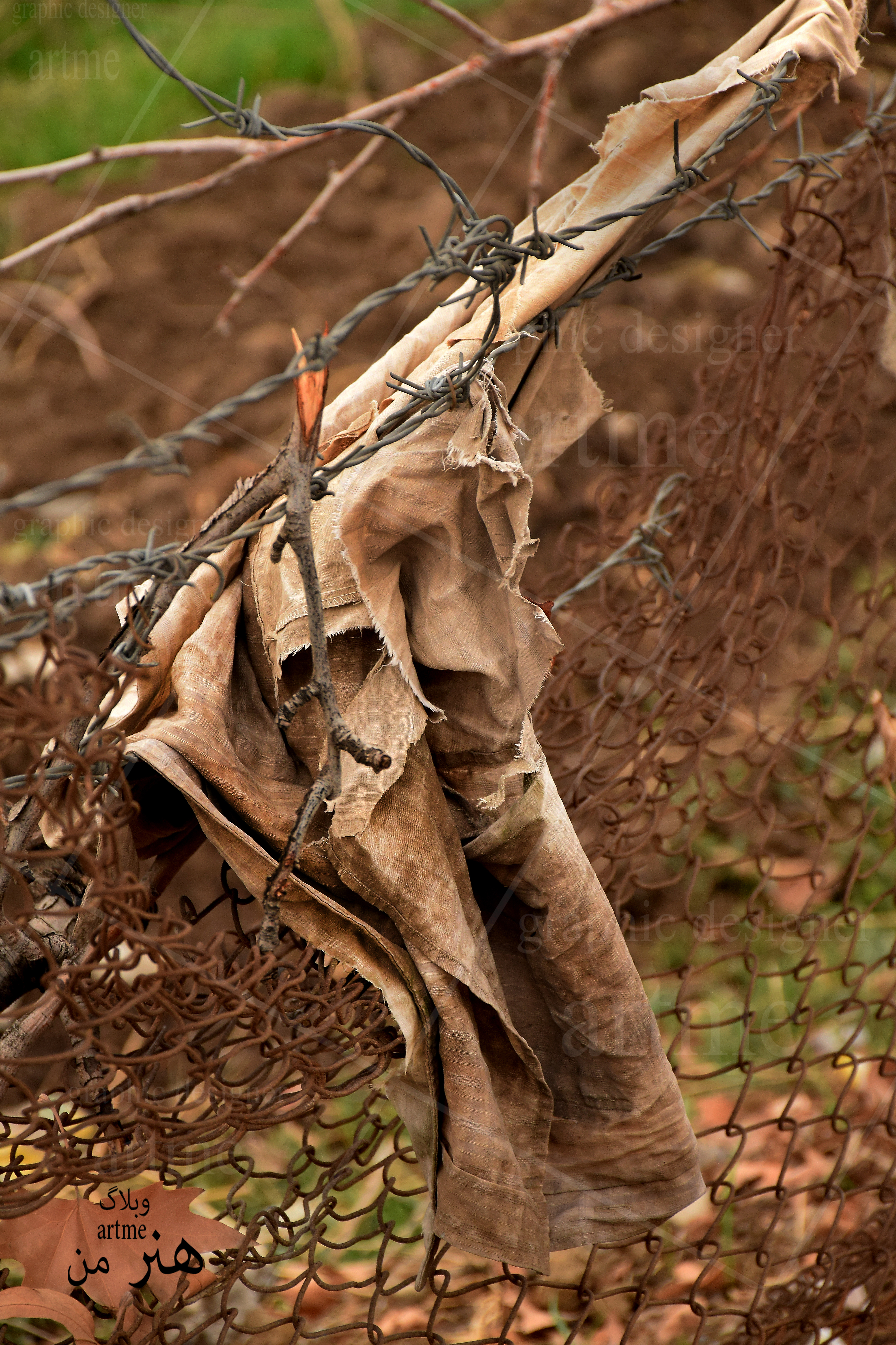 http://s9.picofile.com/file/8305503384/DSC_0896.jpg