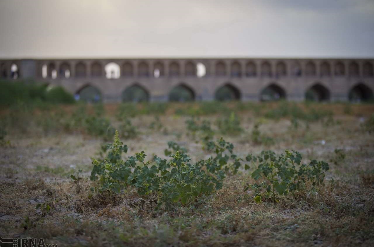 خشکی زاینده رود
