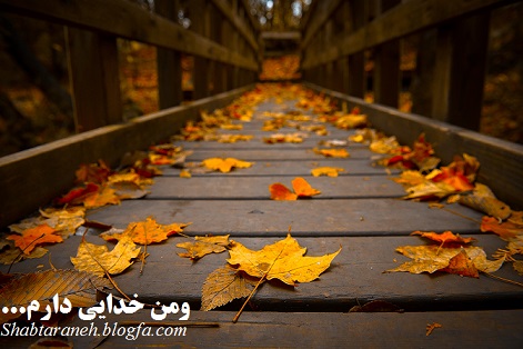 و من خدایی دارم ... و من خدایی دارم ...