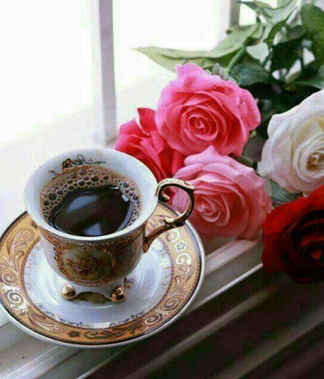 http://s9.picofile.com/file/8308221534/photo_2017_09_17_22_37_47.jpg