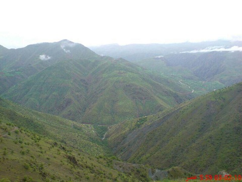 گواز