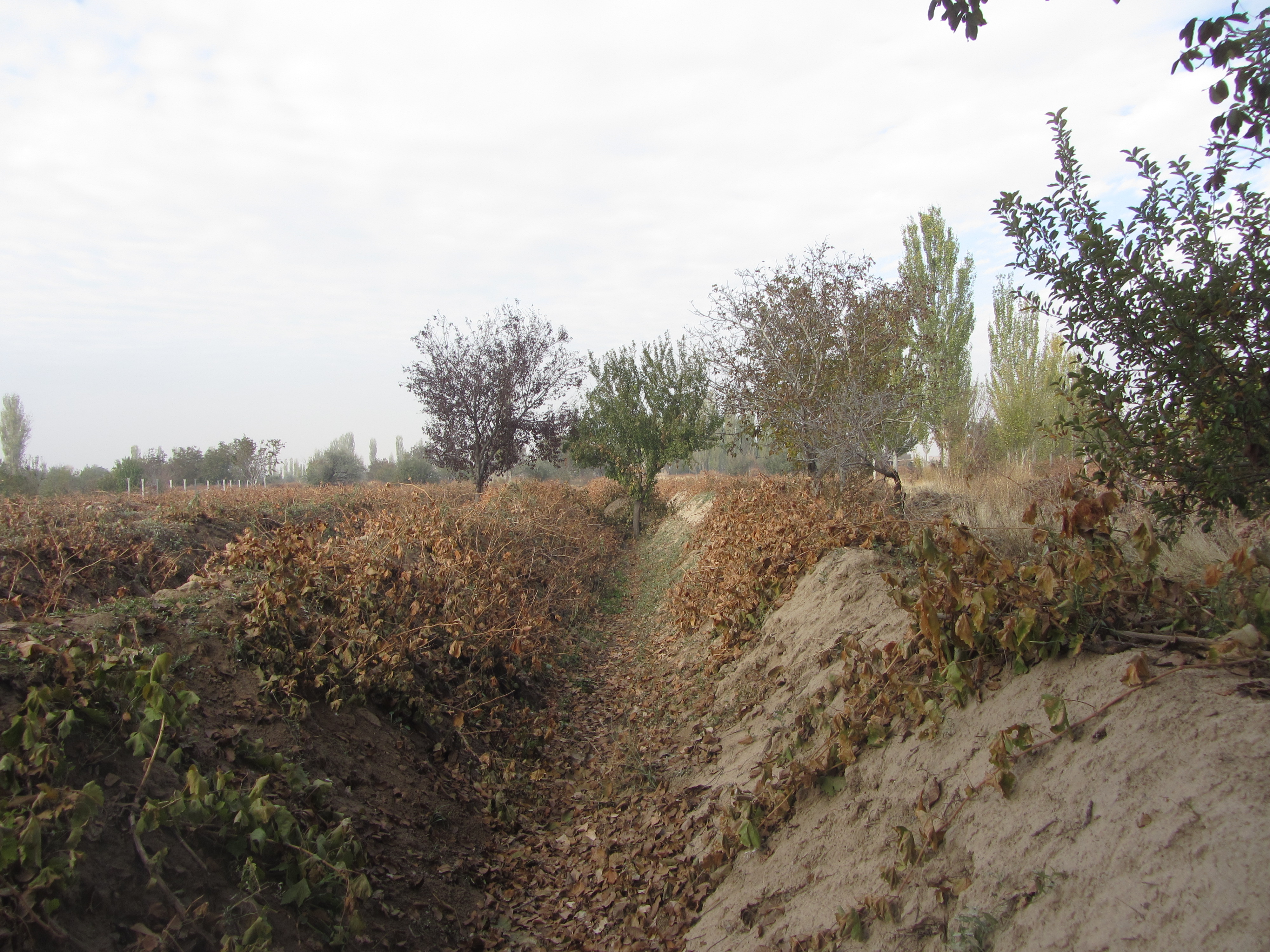 http://s9.picofile.com/file/8309889668/IMG_4019.JPG
