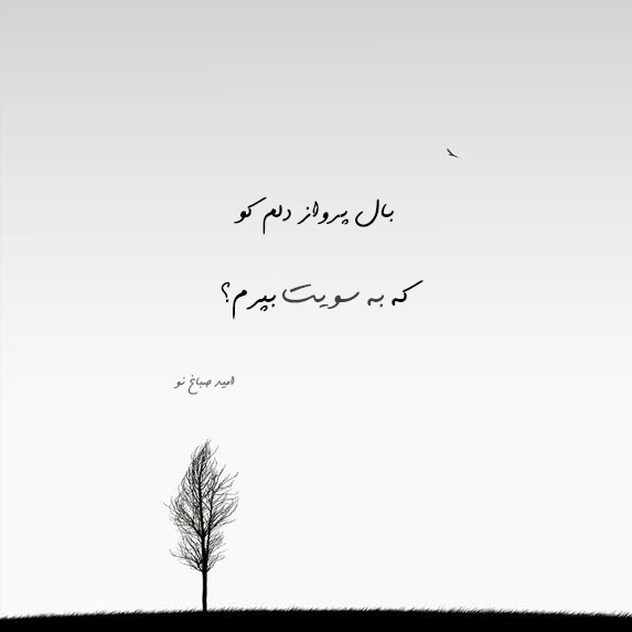 شعر هوس عشق از امید صباغ نو