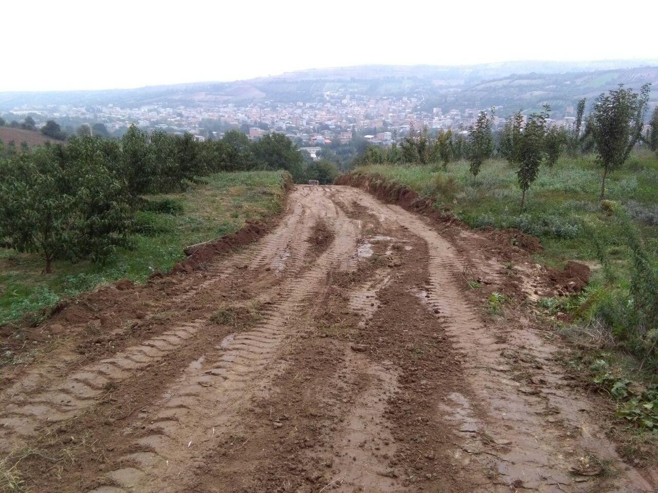 1_3_.jpg (1280×960)