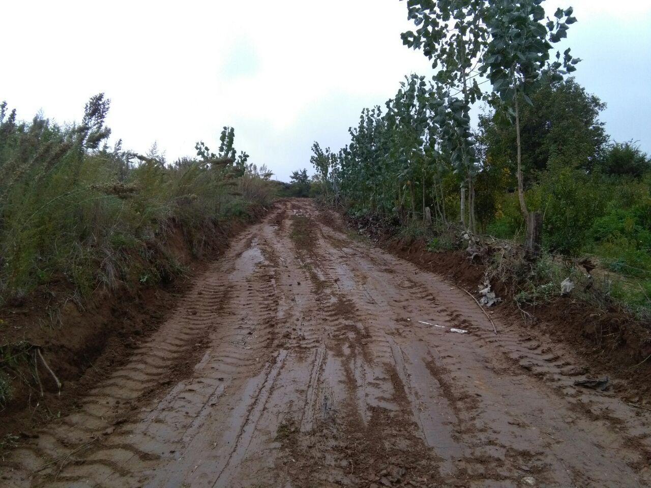 1_5_.jpg (1280×960)