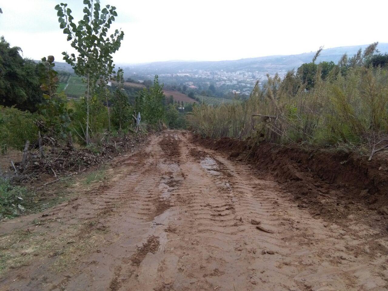 1_7_.jpg (1280×960)