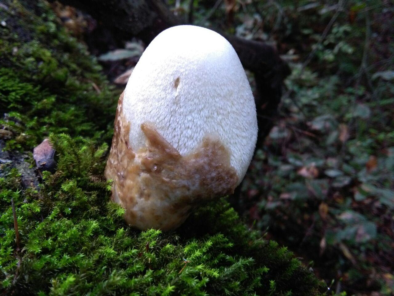 1_9_.jpg (1280×960)