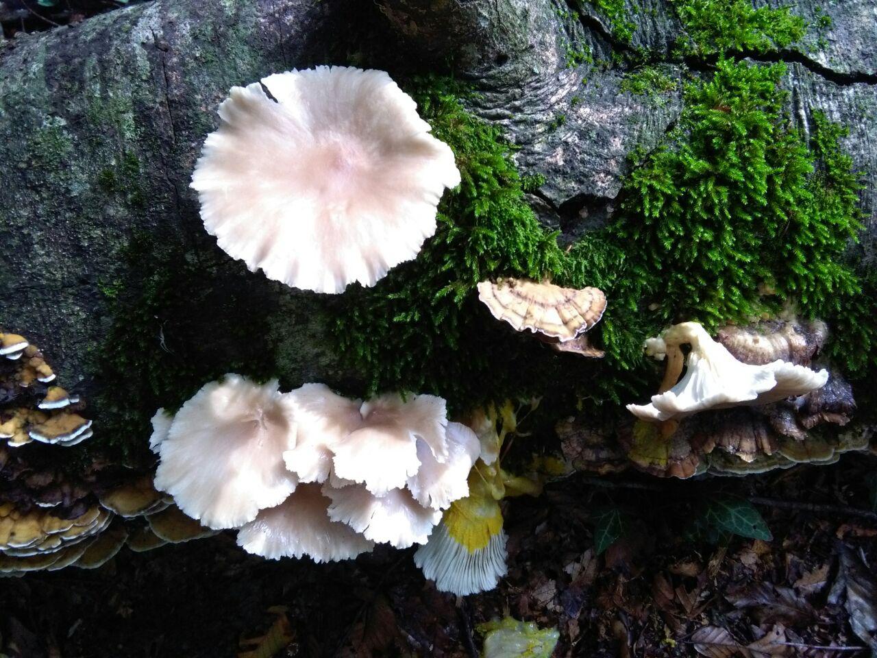 1_12_.jpg (1280×960)