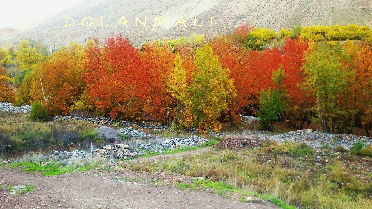 پاییز زنجان
