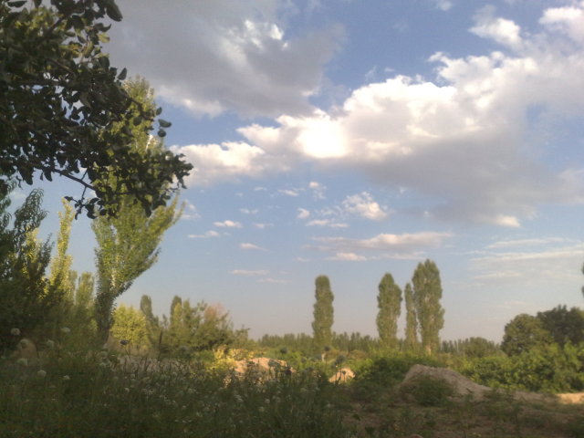 http://s9.picofile.com/file/8310937434/21b5b8cff1fc1.jpg