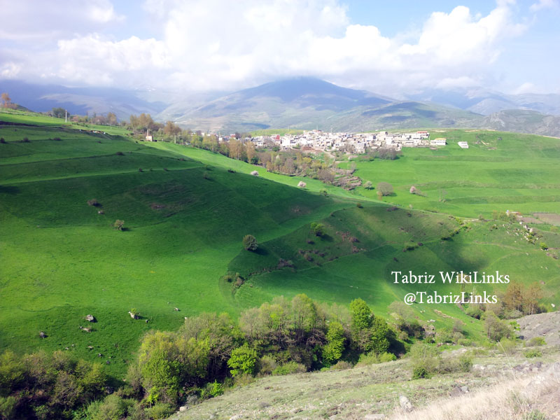 توریستی