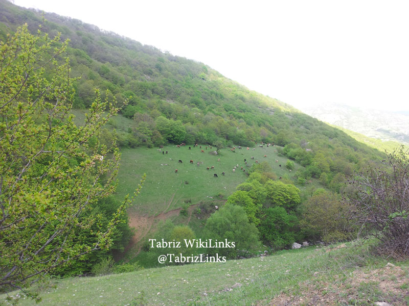 آذربایجان شرقی
