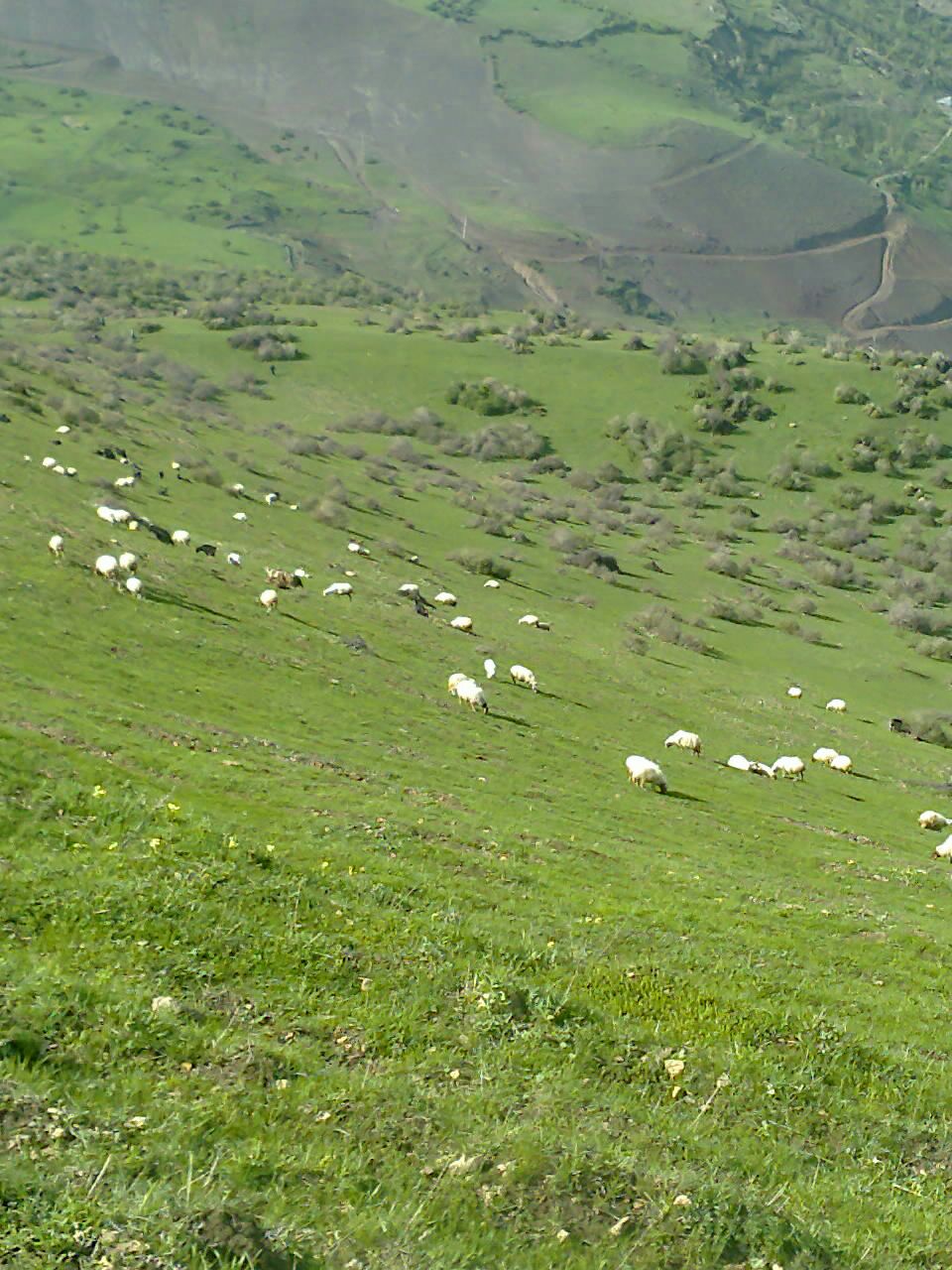 اشکور روستای اینی
