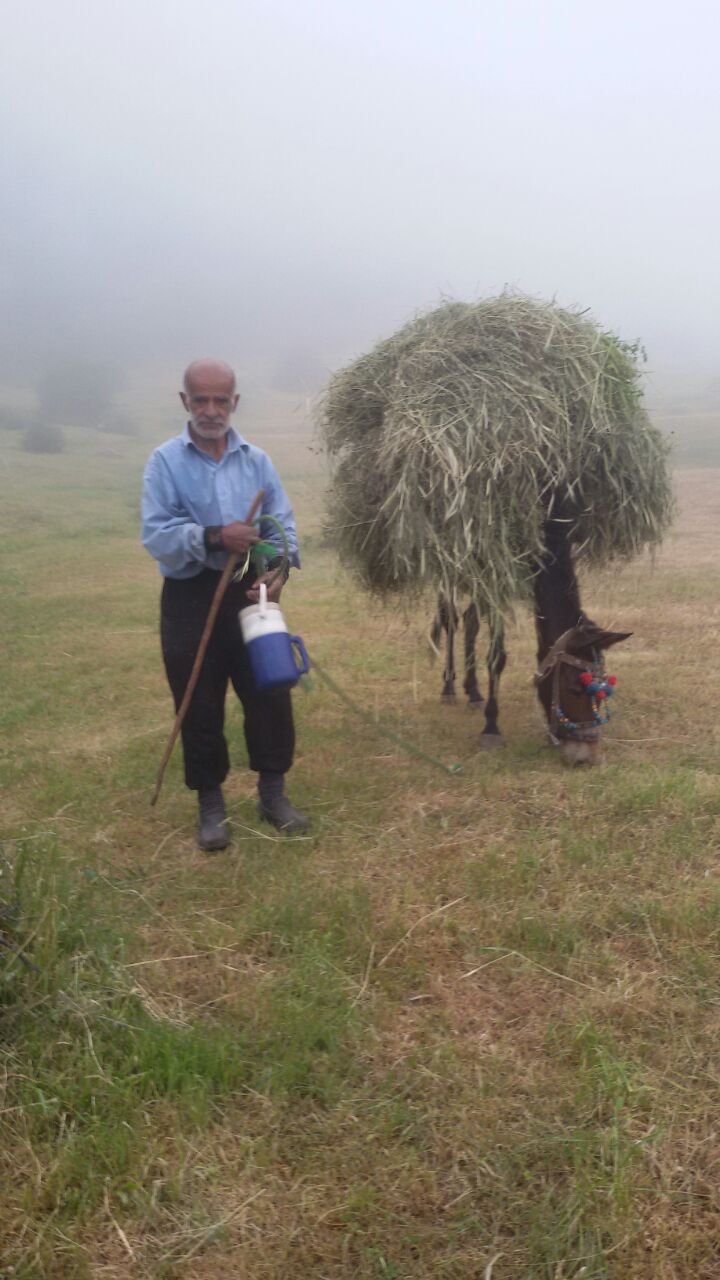 یک روز کارو تلاش