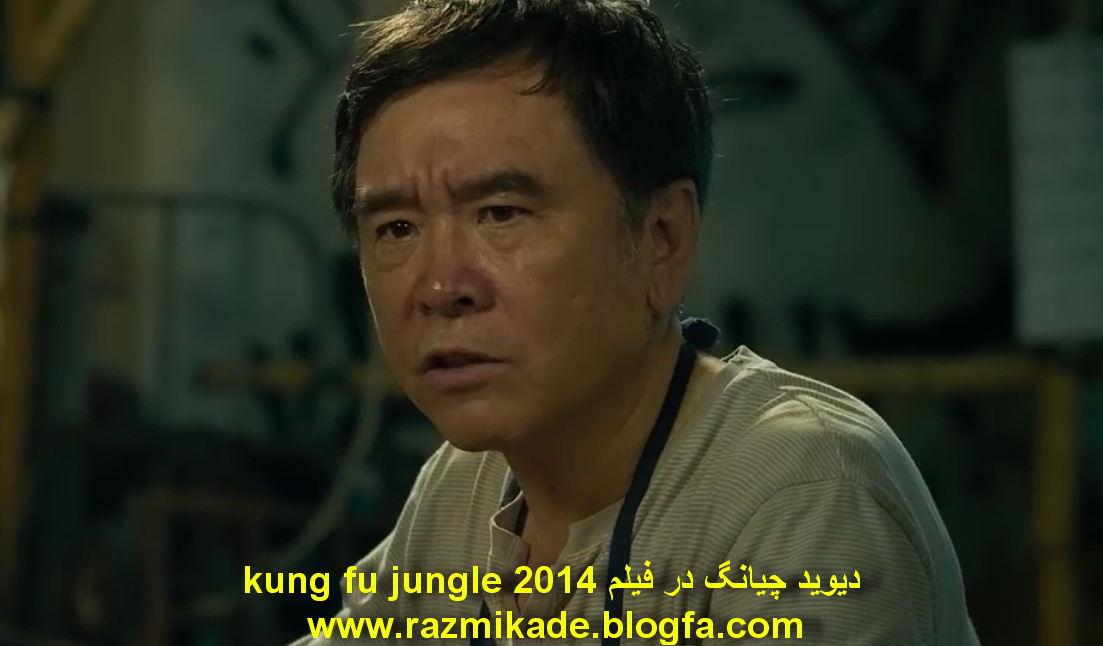 kung_fu_jungle_2014