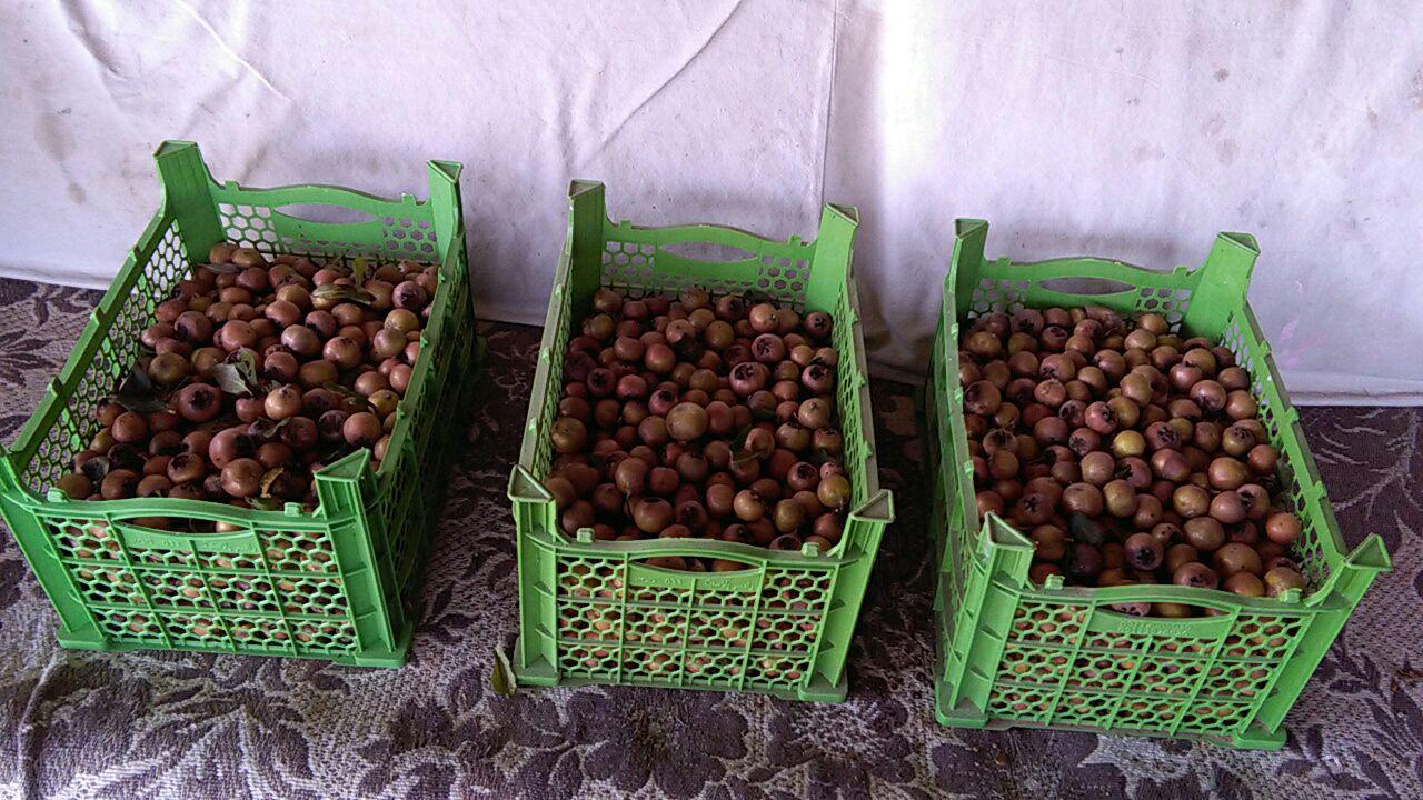 1_2_.jpg (1280×720)