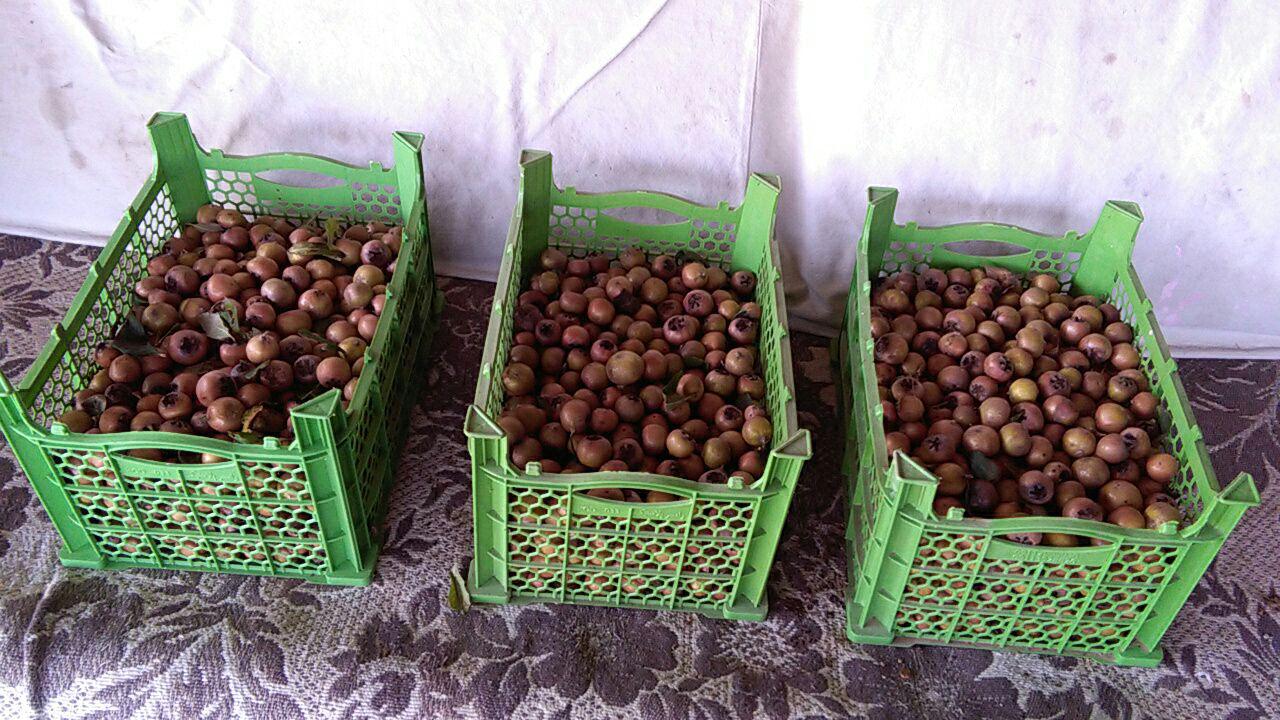 1_4_.jpg (1280×720)