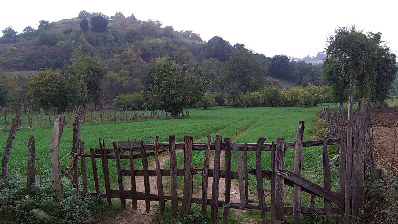 1_11_.jpg (1280×720)