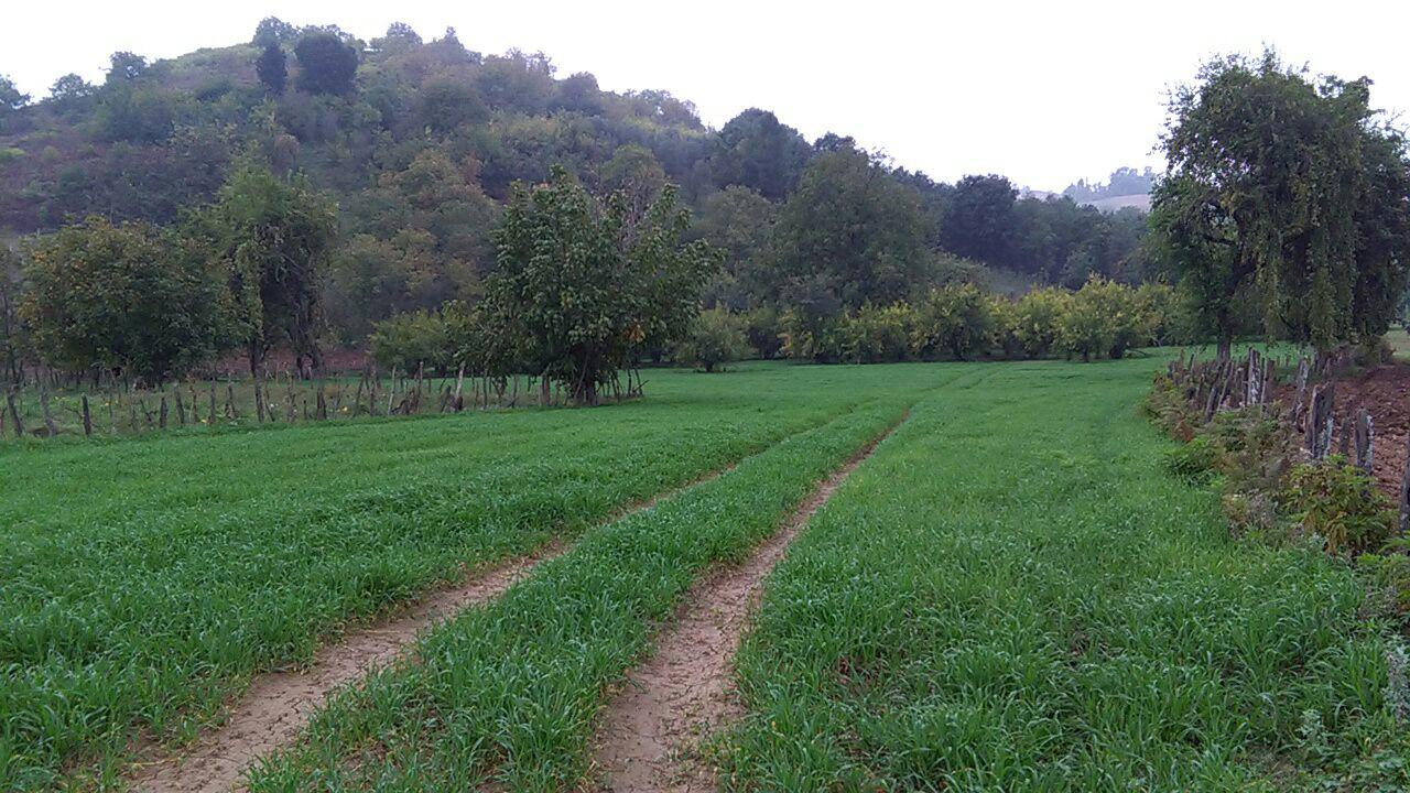 1_12_.jpg (1280×720)