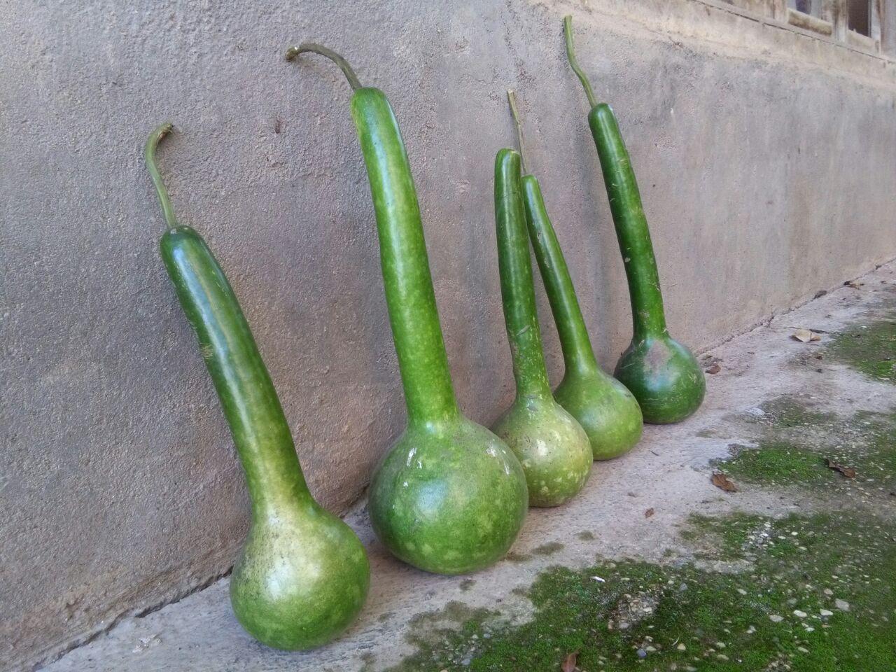 1_13_.jpg (1280×960)