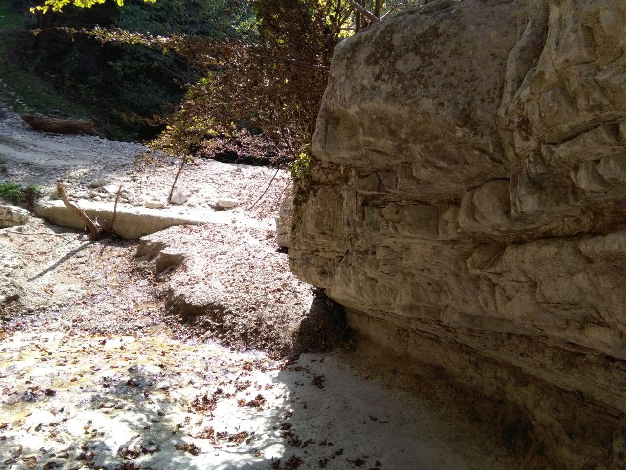 1_15_.jpg (1280×960)