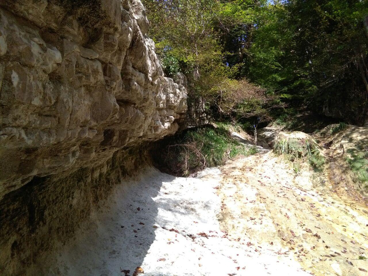 1_16_.jpg (1280×960)