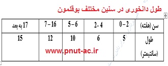 پرورش بوقلمون