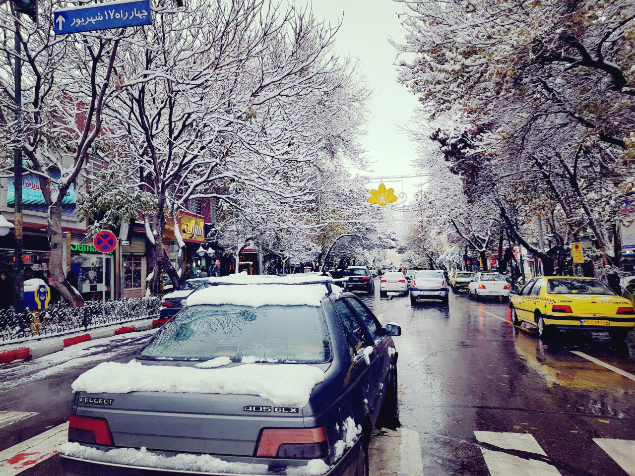شهناز تبریز