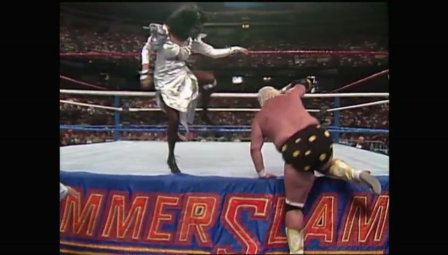 http://s9.picofile.com/file/8313785792/SummerSlam_1990_00047.jpg