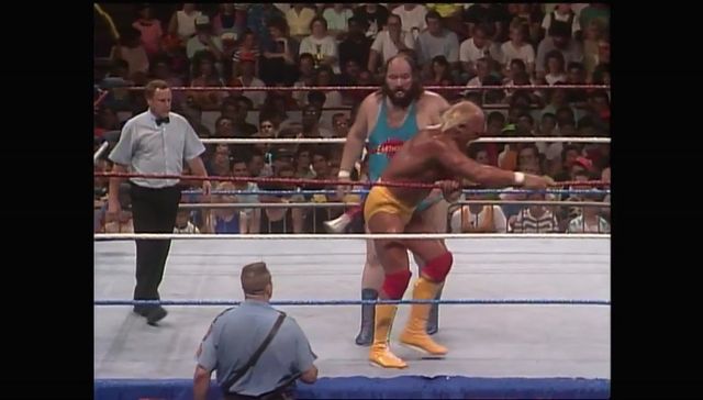 http://s9.picofile.com/file/8313785800/SummerSlam_1990_00050.jpg
