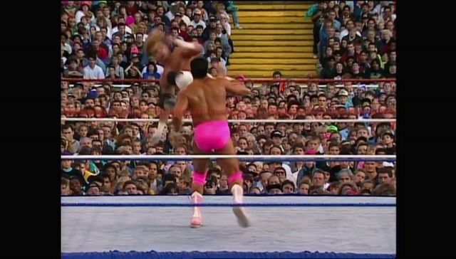 http://s9.picofile.com/file/8314291068/SummerSlam_1992_00014.jpg