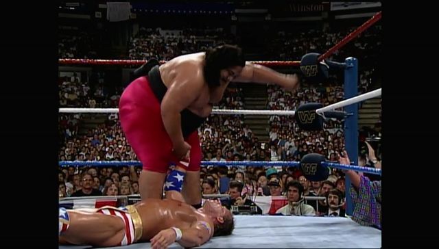 http://s9.picofile.com/file/8314297318/SummerSlam_1993_00059.jpg