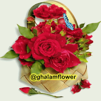 http://s9.picofile.com/file/8315435776/salavat_350.gif