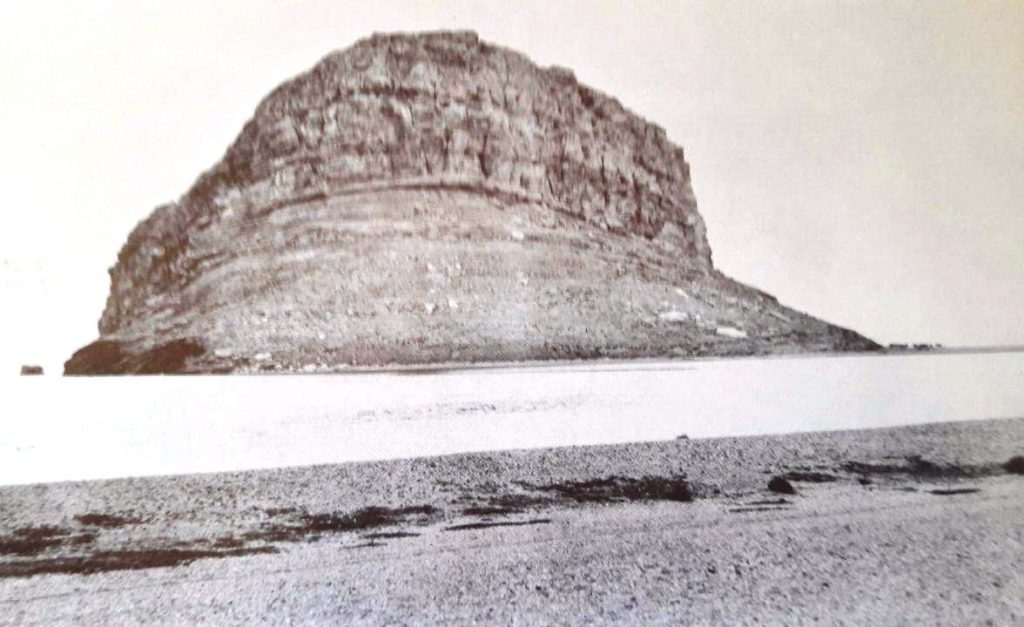 کاظم داشی