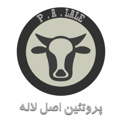 تصویر