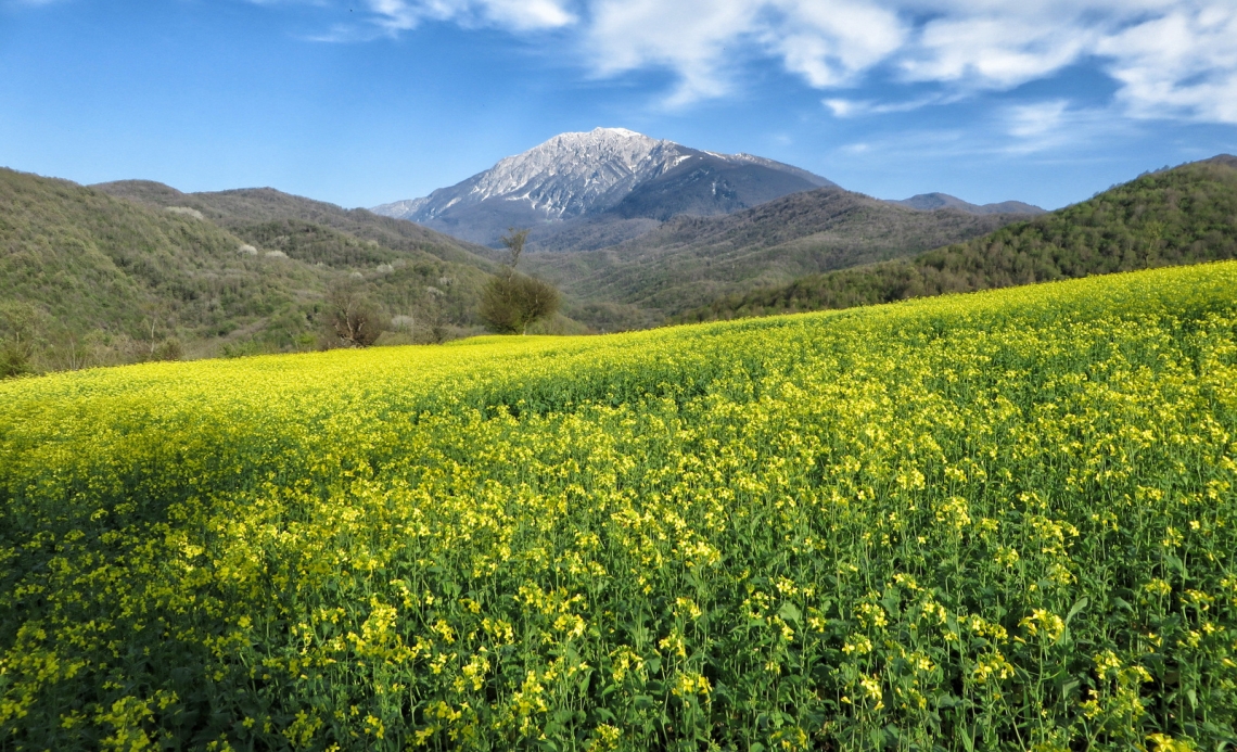 جادبه های گردشگری رودبار و روستای حلیمه جان