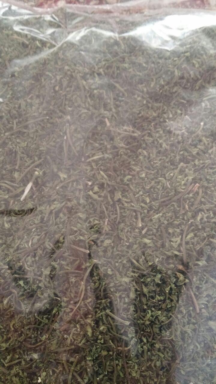 تصویر